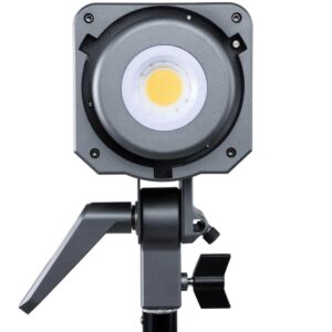 Amaran 100d Daylight LED Light