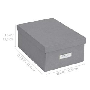 Bigso Karin Collapsible Storage Box | Photo Storage Box with Labelframe for Easy Identification | Simple Assembly without Tools | Decorative Storage Boxes with Lids | 8.9? x 12.4? x 5.4? | Gray