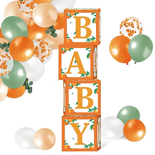 Sinasasspel Little Cutie Baby Shower Decorations Orange Balloon Boxes 1st Birthday Party Backdrop Supplies Including Clementine Party Boxes Block Orange Peach Latex Balloons Eucalyptus Leaves Ivy