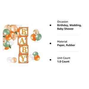 Sinasasspel Little Cutie Baby Shower Decorations Orange Balloon Boxes 1st Birthday Party Backdrop Supplies Including Clementine Party Boxes Block Orange Peach Latex Balloons Eucalyptus Leaves Ivy