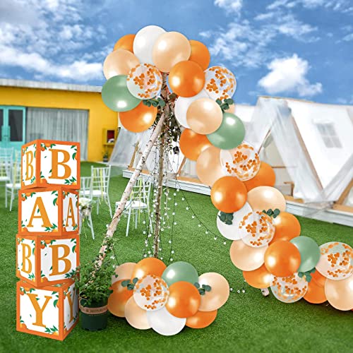 Sinasasspel Little Cutie Baby Shower Decorations Orange Balloon Boxes 1st Birthday Party Backdrop Supplies Including Clementine Party Boxes Block Orange Peach Latex Balloons Eucalyptus Leaves Ivy