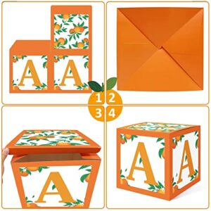 Sinasasspel Little Cutie Baby Shower Decorations Orange Balloon Boxes 1st Birthday Party Backdrop Supplies Including Clementine Party Boxes Block Orange Peach Latex Balloons Eucalyptus Leaves Ivy