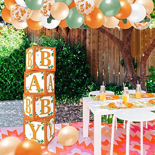 Sinasasspel Little Cutie Baby Shower Decorations Orange Balloon Boxes 1st Birthday Party Backdrop Supplies Including Clementine Party Boxes Block Orange Peach Latex Balloons Eucalyptus Leaves Ivy