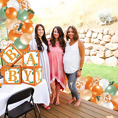 Sinasasspel Little Cutie Baby Shower Decorations Orange Balloon Boxes 1st Birthday Party Backdrop Supplies Including Clementine Party Boxes Block Orange Peach Latex Balloons Eucalyptus Leaves Ivy