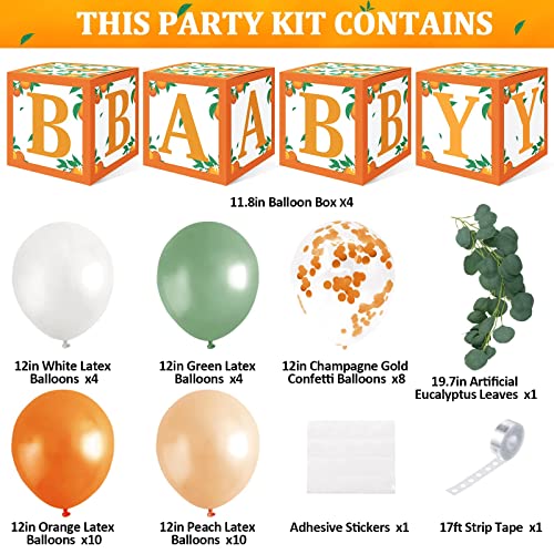 Sinasasspel Little Cutie Baby Shower Decorations Orange Balloon Boxes 1st Birthday Party Backdrop Supplies Including Clementine Party Boxes Block Orange Peach Latex Balloons Eucalyptus Leaves Ivy