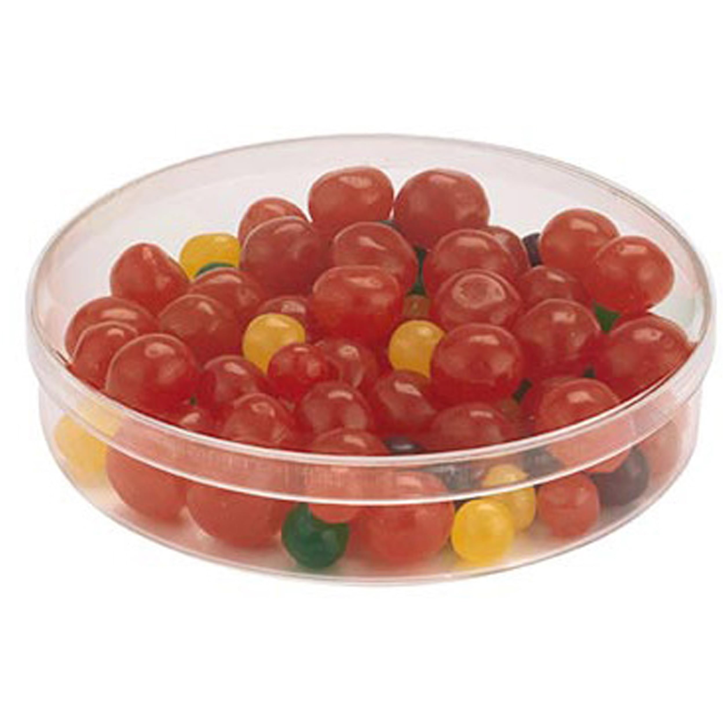 Pioneer Plastics 056C Clear Round Petri Dish Plastic Container, 4.3125" W x 0.875" H, Pack of 12