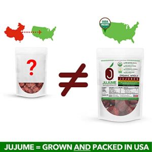 JUJUME | USDA Organic California Grown Jujubes Red Dates | Individually Sorted 3X for QA | High Grade Superfood | Healthy Dried Fruit | Certified All-Natural Non-GMO | 6 oz. bag