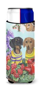 caroline's treasures ppp3080muk dachshund blooms ultra hugger for slim cans can cooler sleeve hugger machine washable drink sleeve hugger collapsible insulator beverage insulated holder