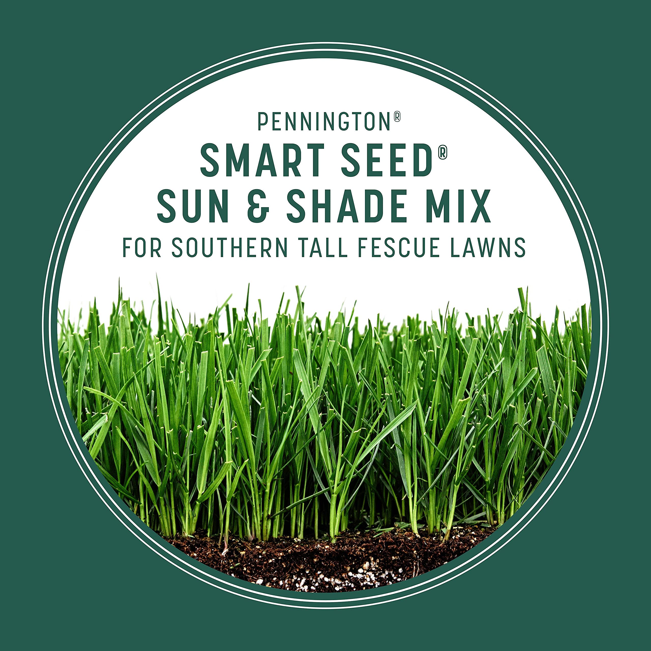 Pennington Smart Seed Sun and Shade Tall Fescue Grass Seed Mix for Southern Lawns 20 lb