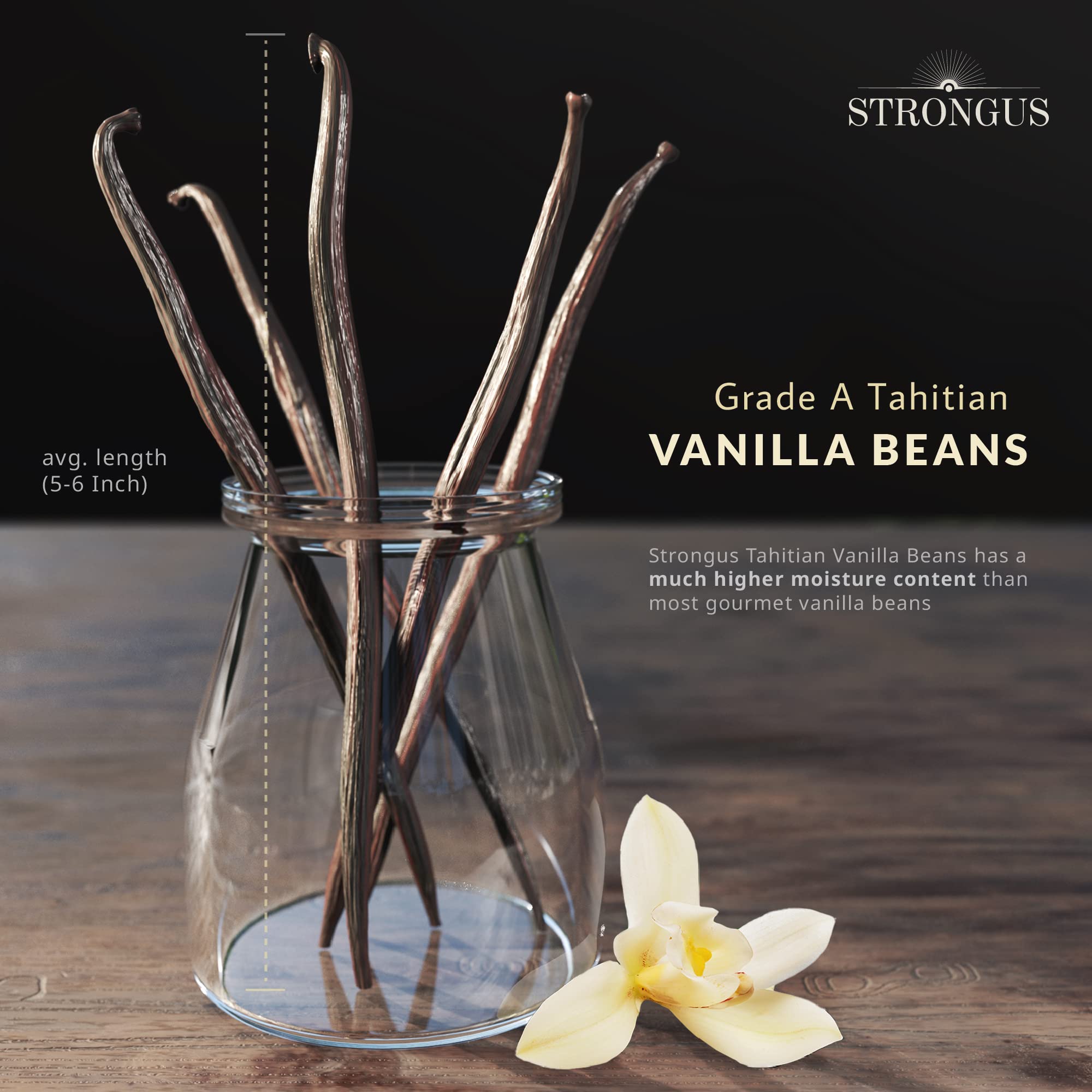 12 Large Tahitian Vanilla Beans - Vacuum Sealed Grade A Vanilla Pods - Rich, Creamy Flavor & Aroma - Ingredients for Baking, Homemade Extract, Paste, Brewing, Coffee, Cooking - , 12-Pack