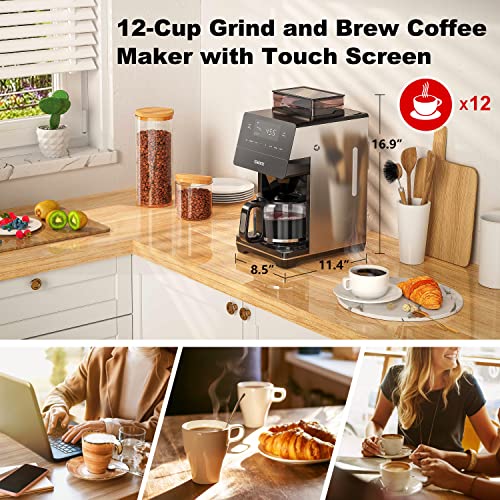 Galanz 2-in-1 Grind and Brew Coffee Maker with Adjustable Grind Size, Digital LED Touch Screen, Removable Coffee Filter Basket, Clean Indicator Light, 1000W, 12-Cup, Stainless Steel