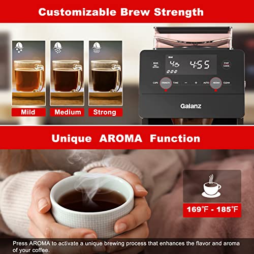 Galanz 2-in-1 Grind and Brew Coffee Maker with Adjustable Grind Size, Digital LED Touch Screen, Removable Coffee Filter Basket, Clean Indicator Light, 1000W, 12-Cup, Stainless Steel