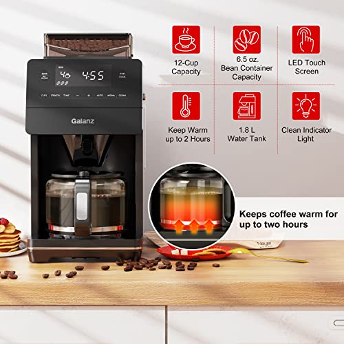 Galanz 2-in-1 Grind and Brew Coffee Maker with Adjustable Grind Size, Digital LED Touch Screen, Removable Coffee Filter Basket, Clean Indicator Light, 1000W, 12-Cup, Stainless Steel