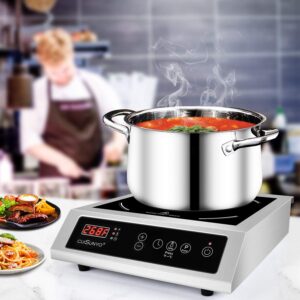 3500W 240v Portable Commercial Induction Cooktop 10 Power Levels 500-3500W Countertop Burner with 12 Timer Settings 140-465°F and LCD Screen Stainless Steel Electric Stove