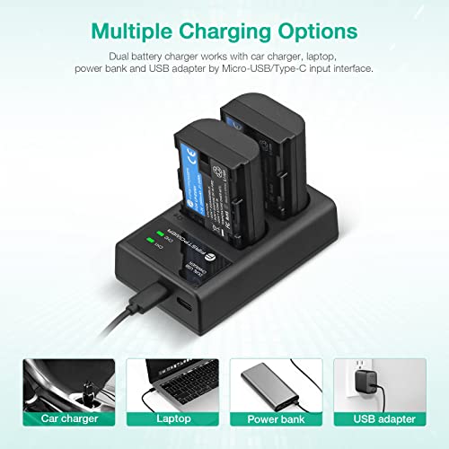 FirstPower LP-E6NH Battery and USB Dual Charger Compatible with Canon EOS R, R5, R6, 5D Mark II III IV, 5Ds, 6D, 6D Mark II, 7D, 7D Mark II, 60D, 70D, 80D, 90D Cameras and More (2-Pack, 2950mAh)