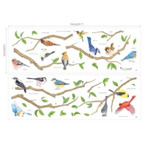 DECOWALL DWL-2015 Garden Birds Wall Stickers Wall Decals Peel and Stick Removable Wall Stickers for Kids Nursery Bedroom Living Room