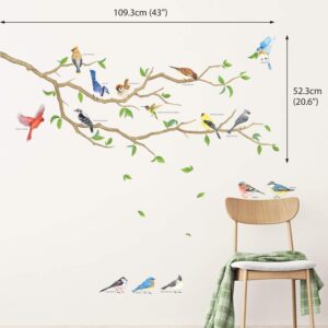 DECOWALL DWL-2015 Garden Birds Wall Stickers Wall Decals Peel and Stick Removable Wall Stickers for Kids Nursery Bedroom Living Room