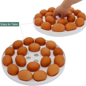 FEOOWV 10 Inch Portable Pie Carrier with Lid and Tray 3-In-1 Round Cupcake Container Egg Holder Muffin Tart Cookie Keeper Food (Grey)