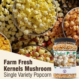 Concession Essentials Premium Gourmet Mushroom Extra Large Popcorn Kernels - 4lbs