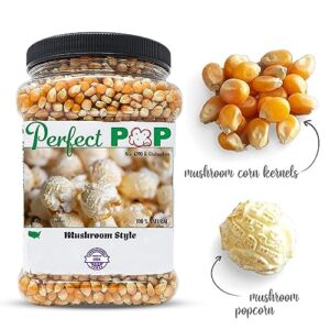 Concession Essentials Premium Gourmet Mushroom Extra Large Popcorn Kernels - 4lbs