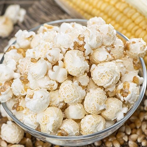 Concession Essentials Premium Gourmet Mushroom Extra Large Popcorn Kernels - 4lbs