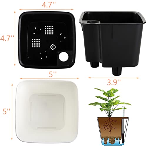 yarlung 6 Pack Self Watering Planter with Water Level Indicator, 5 Inch Plastic Plant Flower Pots Nested Container for Indoor Plants, Herbs, Aloe, Outdoor Gardening