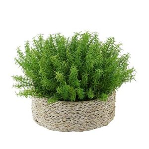 House of Silk Flowers Faux Rosemary Grass in Large Seagrass Tray Basket (White-Wash Seagrass)