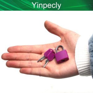 Yinpecly 1Pcs ABS Keyed Padlock, Waterproof Suitcase Padlock with Keys, Anti Rust Outdoor Lock for Cabinets Drawers 0.89'' Wide Zinc Alloy Body Shackle Purple Keyed Different