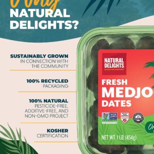 Natural Delights Organic Medjool Dates – Large & Plump USDA Certified , Non-GMO Verified, Good Source of Fiber, Naturally Sweet Fruit Snack, Perfect for On-the-Go - Whole Medjool Dates Organic, 1 lb oz Container