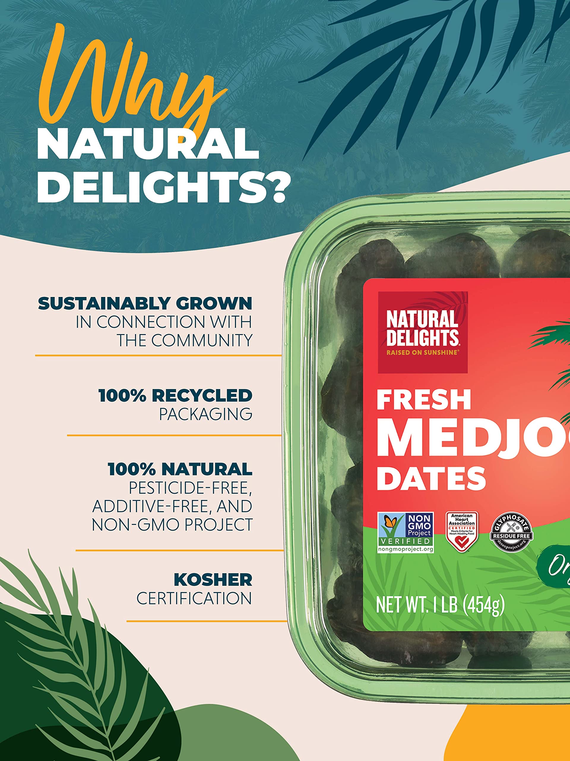 Natural Delights Organic Medjool Dates – Large & Plump USDA Certified , Non-GMO Verified, Good Source of Fiber, Naturally Sweet Fruit Snack, Perfect for On-the-Go - Whole Medjool Dates Organic, 1 lb oz Container