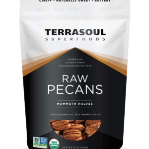 Terrasoul Superfoods Organic Pecans, 11 Oz (Pack of 2) - Mammoth Halves | Fresh | Raw