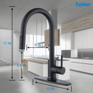 Tohlar Black Kitchen Faucets with Pull-Down Sprayer Single Handle Kitchen Faucet, Modern Stainless Steel Kitchen Sink Faucet with Deck Plate