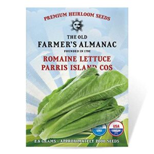 the old farmer's almanac heirloom romaine lettuce seeds (parris island cos) - approx 1800 seeds - non-gmo, open pollinated, usa origin