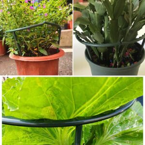 10 Pack Plant Support Plant Stakes, Metal Half Round Plant Support Ring Plastic Plant Cage Holder Flower Pot Climbing Trellis for Small Plant Flower Vegetable,Indoor Leafy Plants(5.7 x 5.9inch)