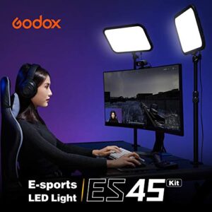 Godox ES45 Key Light,LED Video Light with Extendable Desk Stand,2.4G Wireless Control,0-100% Brightness & 2800-6500K Color Temperature,E-Sports LED Light Kit for Streaming,Zoom Calls, YouTube,Tiktok