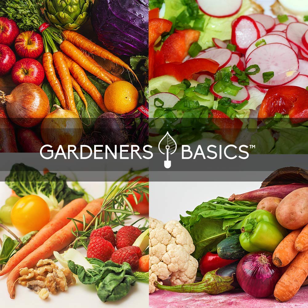 Gardeners Basics, Winter Fall Vegetable Seeds for Planting 8 Varieties Sugar Snap Pea, Carrot, Beet, Radish, Lettuce, Broccoli, Kale, Cabbage Seed Fall Vegetable Seeds Packs