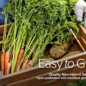 Gardeners Basics, Winter Fall Vegetable Seeds for Planting 8 Varieties Sugar Snap Pea, Carrot, Beet, Radish, Lettuce, Broccoli, Kale, Cabbage Seed Fall Vegetable Seeds Packs
