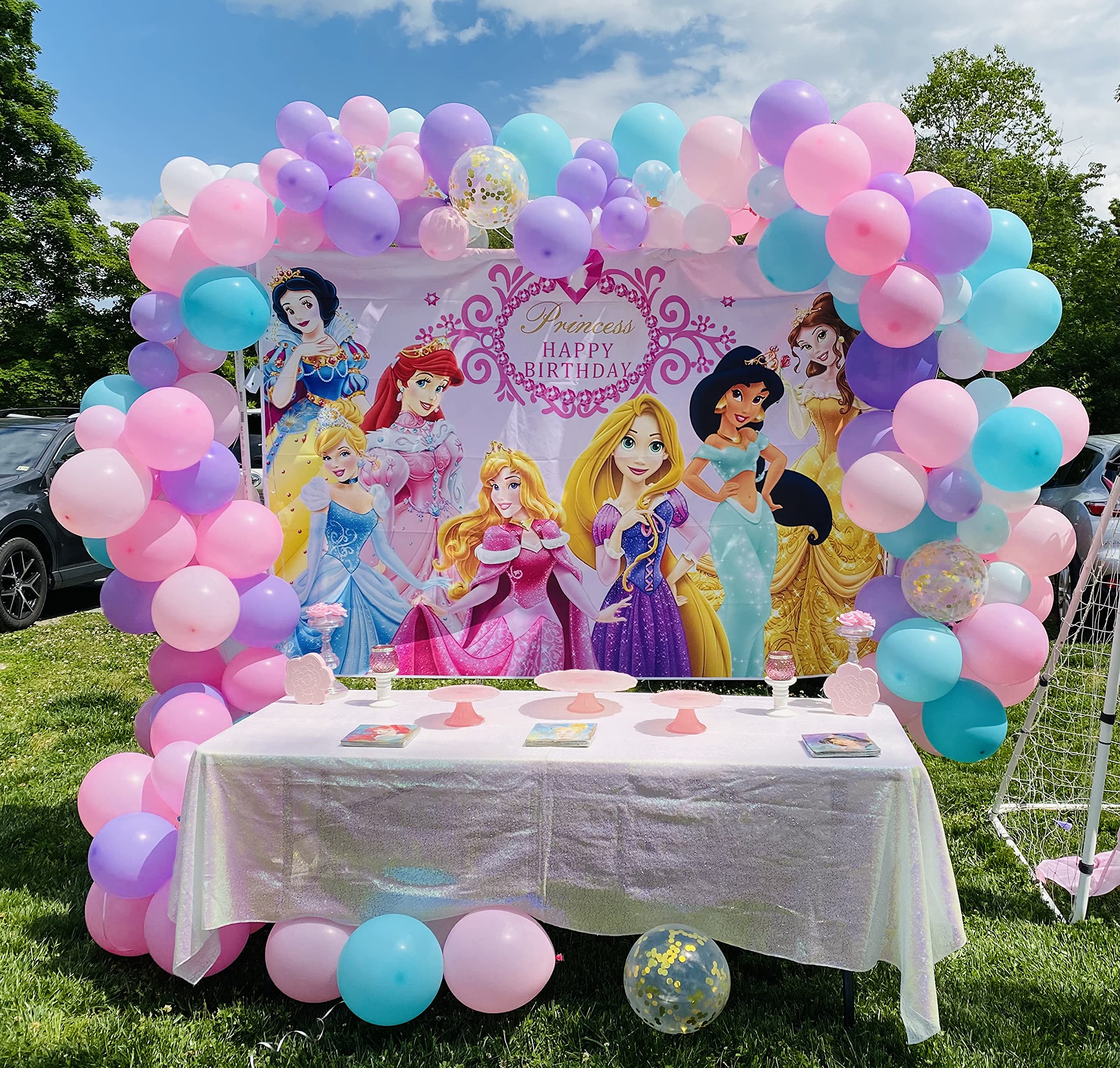 GCH Princess Backdrop Pink Baby Shower Backdrop for Girl 1st Birthday Photography Background Princess Birthday Party Supplies Table Decoration Banner Customized Backdrops (5X3FT(150X90CM))