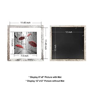 Finefrarm 12x12 Frame Matted to Display 8x8 Photos with Mat or 12 x 12 Pictures Without Mat Rustic Photo Frames Wall Art for Living Room Wall Mounting