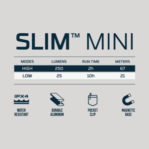 NEBO Slim Mini Rechargeable 250 Lumen Compact Pocket Flashlight, Portable, Water and Impact Resistant Flashlight