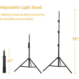 T Shape Backdrop Stand Kit 3.3 * 6.6FT, Adjustable Background Support Stand Kit with 2 Spring Clamps for Parties, Wedding, Photography, Decoration, BEIYANG