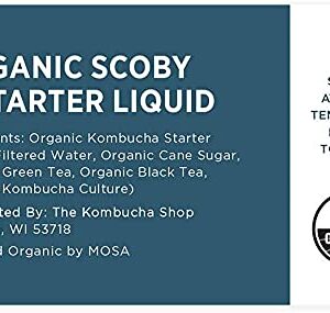 Organic SCOBY Kombucha Starter Kit with Live Culture for Brewing Kombucha Tea - Urban Kitchen