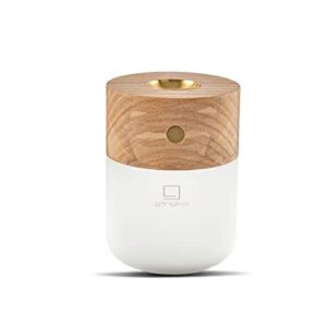 gingko smart diffuser lamp approx. 3" x 3" x 4" led desk lamp and diffuser walnut