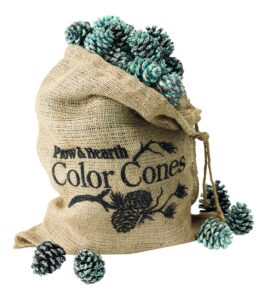 fireplace and firepit color cones, festive fun rainbow flame changing pine cones, firepit campfire hearth wood burning accessories for holidays or anytime (6 lb in burlap bag)