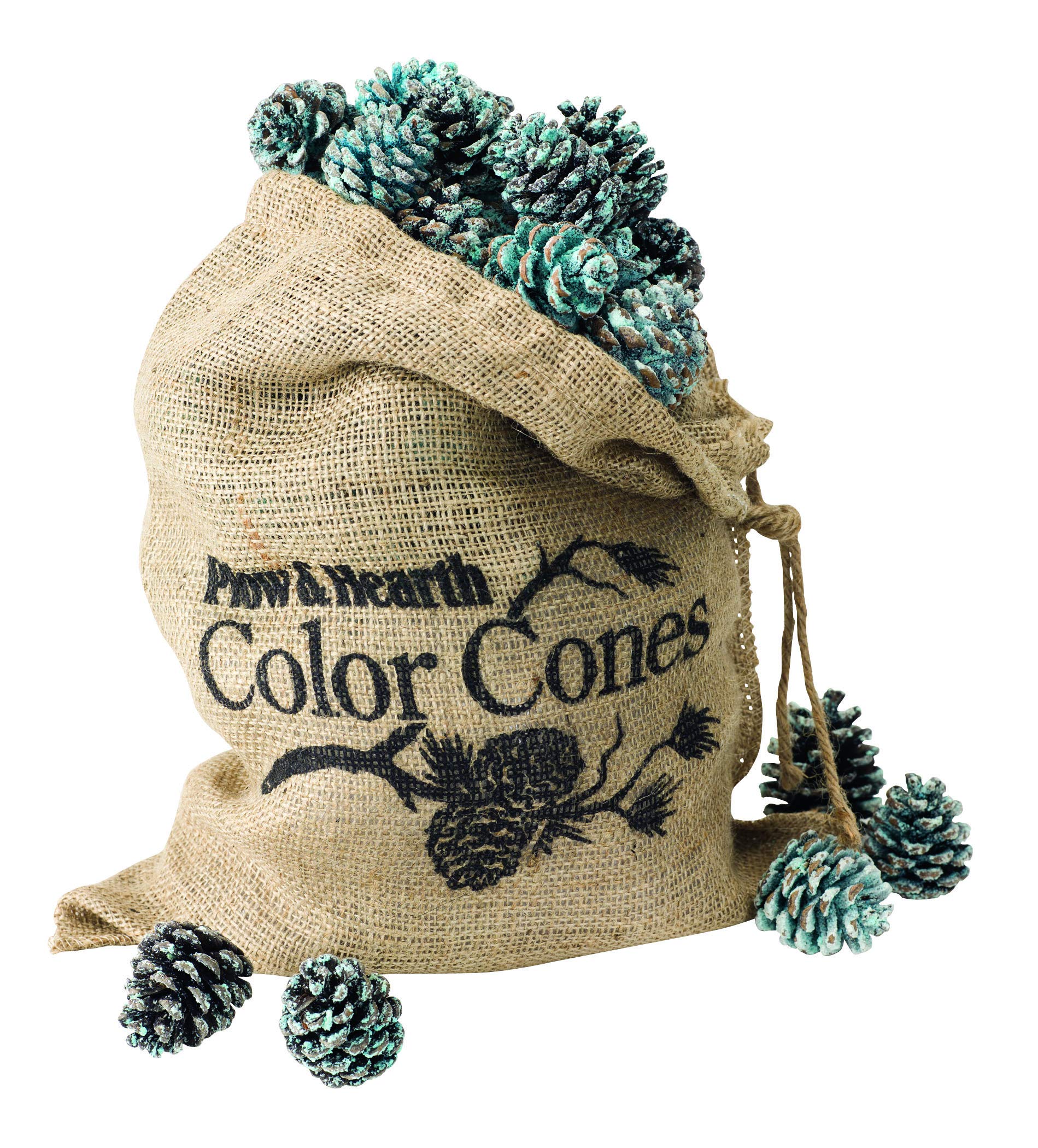 Fireplace and Firepit Color Cones, Festive Fun Rainbow Flame Changing Pine Cones, Firepit Campfire Hearth Wood Burning Accessories for Holidays or Anytime (6 LB in Burlap Bag)