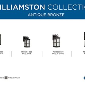 Progress Lighting Williamston Collection 1-Light Clear Glass Antique Bronze Farmhouse Outdoor Small Wall Lantern Light, 12.00x5.00x6.00