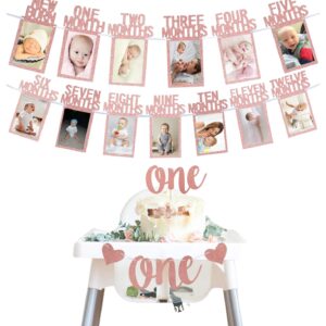 Rose Gold 1st Birthday Baby Photo Banner for Newborn to 12 Months And Alphabet ONE Bunting, Alphabet ONE Cake Topper for Baby Show First Birthday Party Decoration