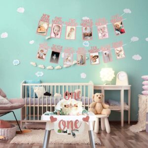 Rose Gold 1st Birthday Baby Photo Banner for Newborn to 12 Months And Alphabet ONE Bunting, Alphabet ONE Cake Topper for Baby Show First Birthday Party Decoration