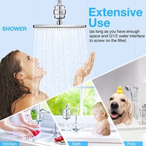 Luxau 20 Stage Shower Filter w/ 3 Cartridge, Shower Head Filter, Reduce Well Hard Water Chlorine Heavy Metal & Impurity, Improve Skin Hair, Fit Most Handheld Showerhead Fixed Rainfall, Chrome