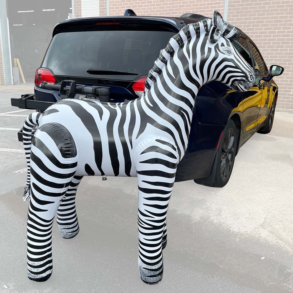 Jet Creations 60" Tall Inflatable Zebra Toy, White with Black Stripes Realistic Animal Figure, Africa Safari Party Decoration, Party, Pool, Birthday, Wildlife Photo Prop, 1 pc